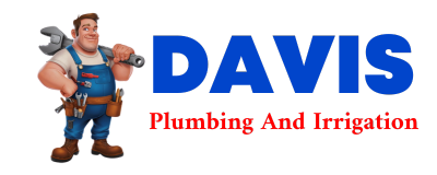 Trusted plumber in DE YOUNG